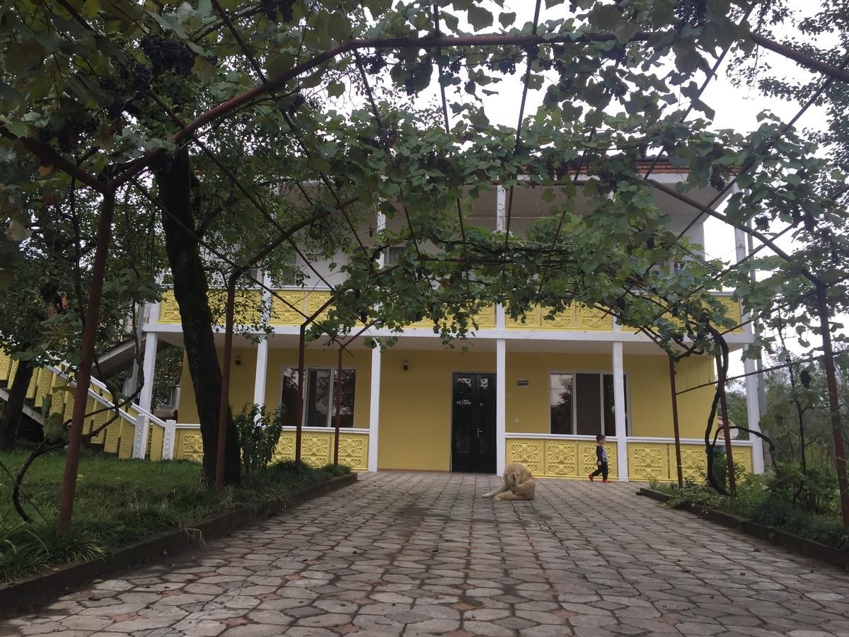 Гостевой дом Guest house Maspindzeli Цхалтубо-20